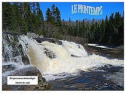diaporama pps Le printemps