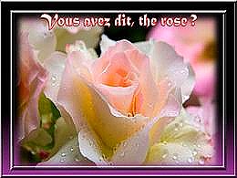 diaporama pps Vous avez dit – The rose