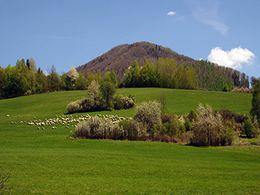 diaporama pps Agenouillez-vous et dites merci