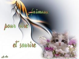 diaporama pps Animaux pour rire et sourire