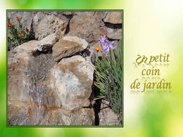 diaporama pps Un petit coin de jardin