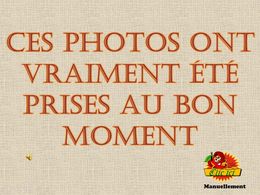 diaporama pps Photos vraiment prises au bon moment