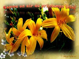 diaporama pps Comme un air de printemps bis