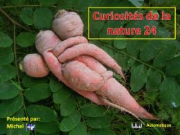 diaporama pps Curiosités de la nature 24
