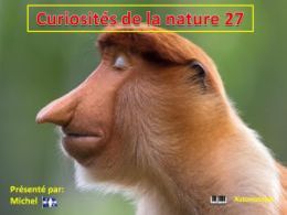diaporama pps Curiosités de la nature 27