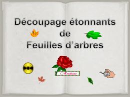 diaporama pps Découpages étonnants de Feuilles d’Arbre