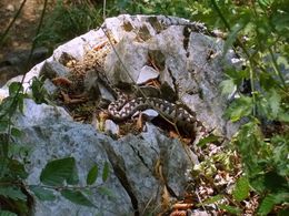 diaporama pps Lieux moins connus des roumains 4