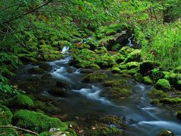 diaporama pps Des lieux merveilleux – Roumanie