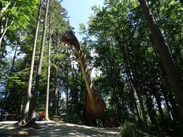 diaporama pps Dino parc Rasnov