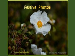 diaporama pps Festival photos de Christian Man