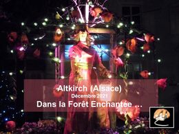diaporama pps Forêt enchantée 2021 Altkirch – Alsace