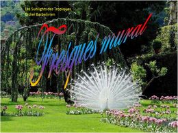 diaporama pps Fresques murales 2