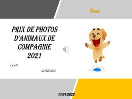 diaporama pps Prix photos – Animaux de compagnie 2021