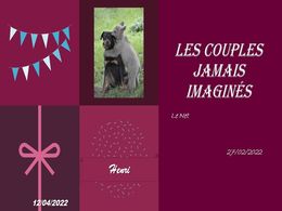 diaporama pps Les couples jamais imaginés