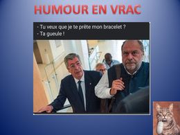 diaporama pps Humour en vrac 1