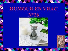 diaporama pps Humour en vrac N°26