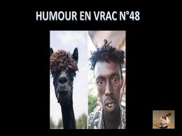diaporama pps Humour en vrac N°48