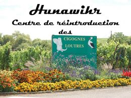 diaporama pps Hunawihr – Centre réintroduction cigognes et loutres