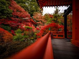 diaporama pps Japanese gardens autumn