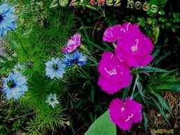 diaporama pps Juin 2021 chez nous