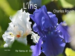 diaporama pps L’iris