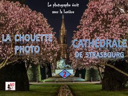 diaporama pps Cathédrale de Strasbourg 2