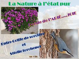 diaporama pps La nature à l’état pur