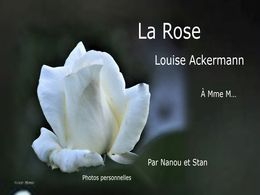 diaporama pps La rose Louise Ackermann