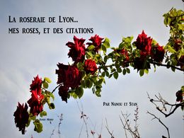 diaporama pps La roseraie de Lyon