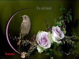 diaporama pps La sérénité