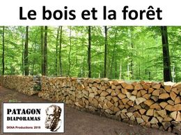 diaporama pps Le bois et la forêt