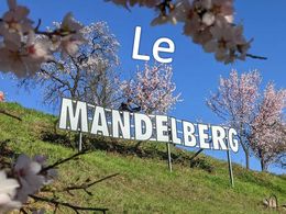 diaporama pps Le Mandelberg – Magnifiques fleurs printanières
