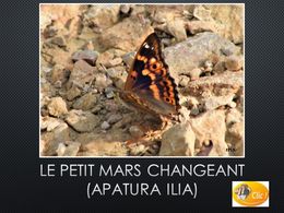 diaporama pps Le petit Mars changeant