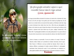 diaporama pps Photographe macédonien – Goran Anastasovski