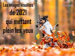 diaporama pps Images insolites de 2021