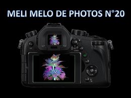 diaporama pps Méli mélo de photos N°20