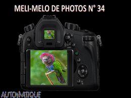 diaporama pps Méli mélo de photos – N°33