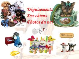 diaporama pps Nos amis les chiens – Costumes
