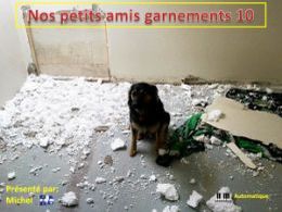 diaporama pps Nos petits amis garnements 10