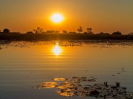 diaporama pps Okavango – Botswana