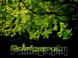 diaporama pps Paintography