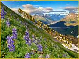 diaporama pps Parc national de Kenai Fjords