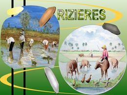 diaporama pps Rizières