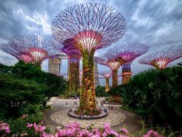 diaporama pps Supertree grove Singapore