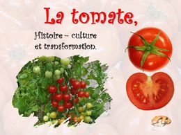 diaporama pps Tomate histoire et culture