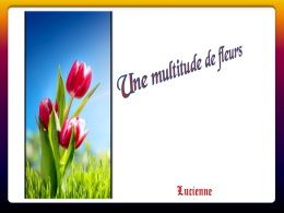 diaporama pps Une multitude de fleurs