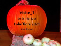 diaporama pps Visite 1 dernier jour Folie’flore 2021 – Mulhouse