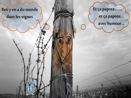 diaporama pps Y a du monde dans les vignes qui papote