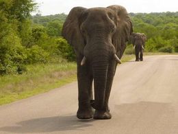 diaporama pps Afrique