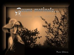 diaporama pps Brume matinale